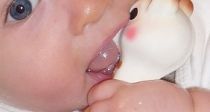  ̿, Ľ Ϲݰǰ?