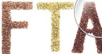 FTA 20 ȿ¡ ܱ ȯ